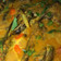 Cooksnap dari yoursunny untuk resep Mangut Lele Kemangi Khas Jogja