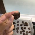 謝佳蓉 的 酥鬆巧克力餅乾丁 cooksnap