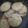 El cooksnap de Sofii Cedrani cuando hizo Galletas marineras con semillas.