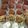 Cooksnap από Ginger στη συνταγή Σοκολατένια απόλαυση: “Tartufι di cioccolato”