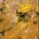 Cooksnap dari firman meidiantara untuk resep Sayur Lodeh