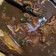 Cooksnap dari Anggi Aldin1307 untuk resep Sup konro khas Makassar
