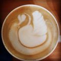کوک اسنپ محسن سیدی بعد از امتحان کردن لاته آرت (latte art).