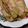 Cooksnap dari Alisha Hidayat untuk resep Kulit Kebab (tortilla) homemade