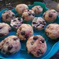 Ed Richardson's cooksnap of when they made Blueberry muffins.