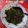Tanjila Hossain's cooksnap of when they made কলমি শাক ভাজাkalmi saag recipe in Bengali).