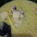 Cooksnap dari Fathur Ruhaniyah Ash-Shamad untuk resep Opor ayam kilat