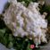Cooksnap από marymyt στη συνταγή Σαλάτα Caesars (του Καίσαρα)