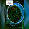 Cooksnap dari Risma Syarif untuk resep Sambel ijo /sambalado mudo