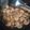 Cooksnap dari Hezty untuk resep Tumis udang pedas
