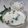 Ami Shah's cooksnap of when they made Isabgol buttermilk.