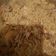 Maman jaafar(khairan)'s cooksnap of when they made Simple Rice.