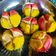 Cooksnap dari Blueblue Boice untuk resep Bolu kukus mekar anti gagal, lembut, gak bau telor dan enak