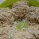 Cooksnap dari Dewi Sartika untuk resep Mie Homemade tanpa Telur