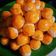 Cooksnap dari Riza Laela Tsaro untuk resep Nastar Nanas Lembut