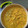 KASHISH'S KITCHEN का कुकस्नैप जब उन्होंने पालक दाल (palak dal recipe in Hindi) बनाया था।