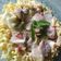 Cooksnap dari Arma Ferida Rohmani untuk resep MIE TITI / Mie siram Makasar