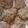 El cooksnap de Daniela Vdovsov cuando hizo Cookies de Avena, Canela, Manzana y Miel.