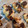 El cooksnap de Laura Fernández Andana cuando hizo Mini Croissant fáciles.