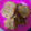 El cooksnap de Danuska Fernandez Milian cuando hizo Galletas 🍪 de avena, 3 ingredientes y sin horno 😱.