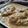 Cooksnap dari Wilda Wily untuk resep Mushrooms Chicken Fricassèe