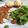 Cooksnap dari Wulan Suci Rahmadhani untuk resep Sate Ayam Taichan Pedas Mantap