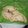 El cooksnap de Gabriela Conte cuando hizo Empanadas de Pollo al Verdeo.