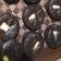 Cooksnap dari Ummanya Cendekia Syam Akbar untuk resep Steamed Moist Chocolate Cake / Bolu Kukus Coklat - No mixer No oven