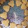 Cooksnap dari Akbar Saja untuk resep Coconut Butter cookies