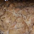 hillarykt's cooksnap of when they made Creamy Parmesan Chicken Rigatoni.
