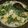 Cooksnap dari Ika Larasati untuk resep Creamy Cheese Spinach