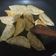 Cooksnap dari dewi sagita untuk resep Wotie