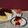Cooksnap dari arie dewa untuk resep Basque Burn Cheesecake