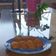El cooksnap de Esteban Morris Donoso Sandoval cuando hizo Falafel.