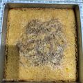 Cooksnap dari Farida Ardhani untuk resep Bolu jadul / Bolu marmer jadul