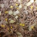 El cooksnap de Esther Soto cuando hizo Papas con carne molida.