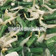 Cooksnap dari Restinauli Suyanto untuk resep Tumisan sayur part 2
