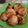 Cooksnap dari Alik untuk resep Tape goreng mentega