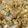 Ruchi's cooksnap of when they made Baingan Bharta.