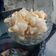 Cooksnap dari Rika untuk resep Siomay Mini Kering