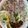 Cooksnap dari Ayu Septiawati untuk resep Vietnamese Beef Pho