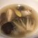 邱冠璋 的 香菇雞湯 cooksnap