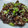 Cooksnap dari Farhah untuk resep Bulgogi (Korean Beef BBQ)