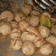 Cooksnap dari Nisa untuk resep Pentol Bakso Mercon💥