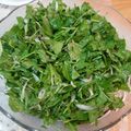 صورة من براءة هلال ، شاركها بعد تجربة وصفة سلطة. جرجير 🥗