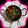 Dolly Kachhwani's cooksnap of when they made Dry roast chicken masala curry.