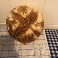 il Svetla Tchalakova quando ha preparato Pane di semola e grano tenero in cocotte