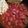 mike.j.gatewood's cooksnap of when they made Turkey Chili.