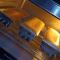 El cooksnap de Cintia cuando hizo Budines de vainilla con harina común (0000).