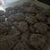 Cooksnap dari Herwina Wina untuk resep Cookies / Kue kering coklat